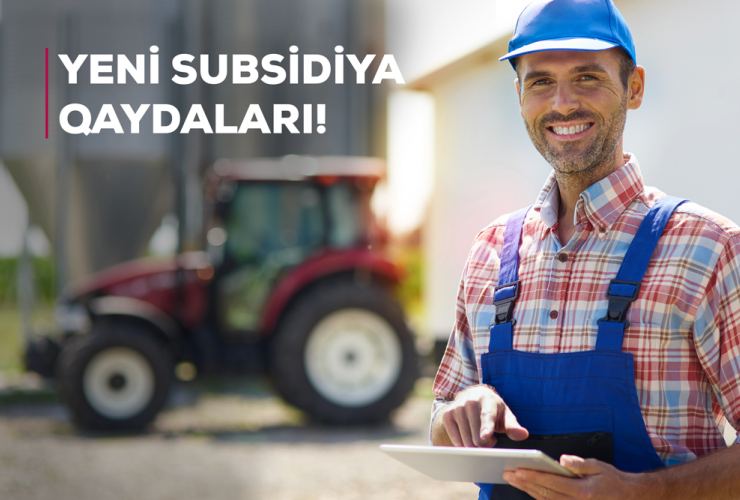 İntensiv meyvə bağları üzrə subsidiya məbləğləri açıqlanıb