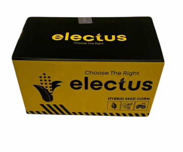 Şirin Qarğıdalı Toxumu  Electus