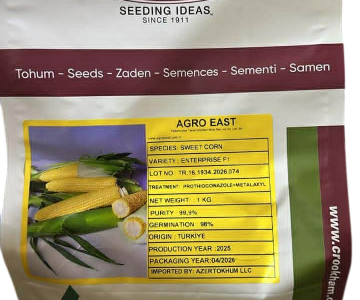 Şirin Qarğıdalı Toxumu  F1