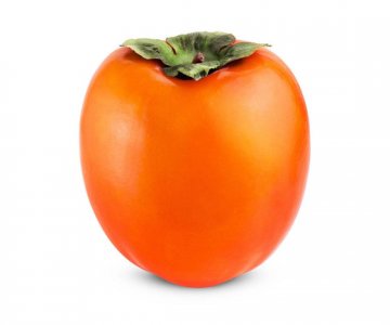 Rojo Brillant xurma tingi