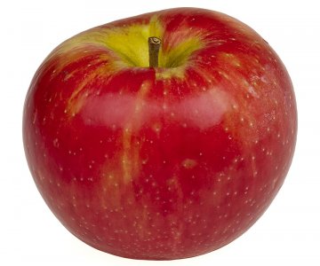 Alma tingi Honeycrisp