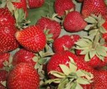 Marmelada